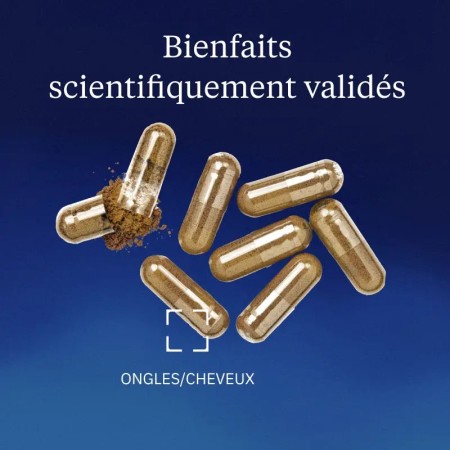 Levure de bière bio - Flacon de 120 gélules