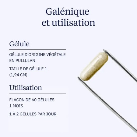 Vitamine B12 - Flacon de 60 gélules