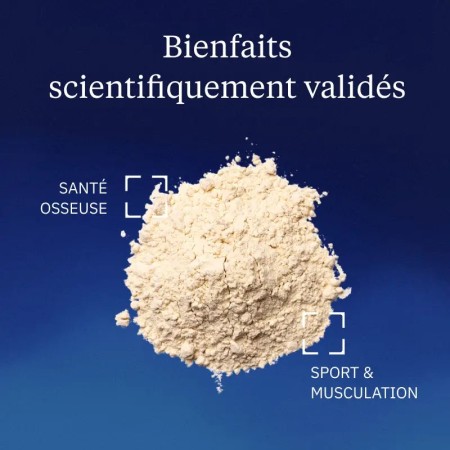 Protéine végétale BIO - Poudre 500 g